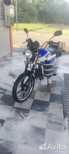 Альфа рх 110 2023