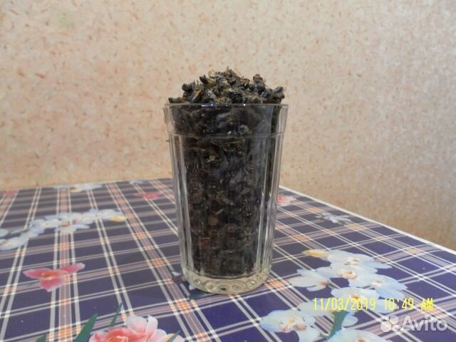 Подмор пчелиный