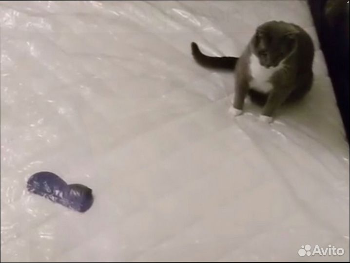 Матрас 160х200 новый ортопедический