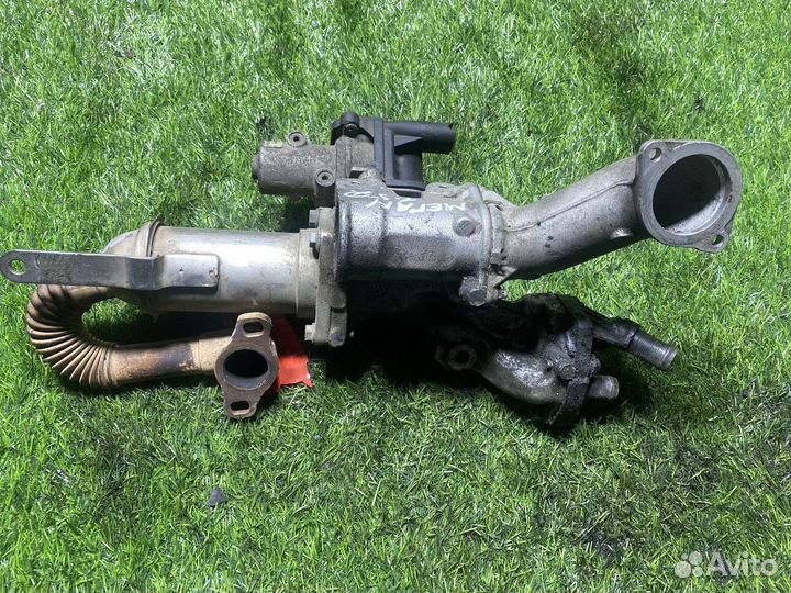 Радиатор системы EGR Renault Scenic 3