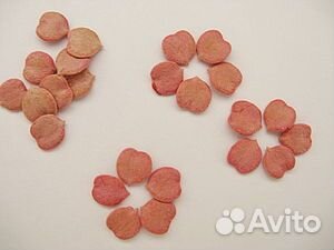 Семена калины