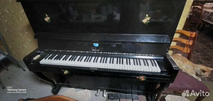 Музыкальные инструменты СССР