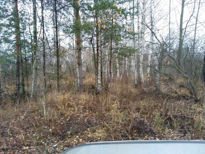 Участок 6 сот. (СНТ, ДНП)