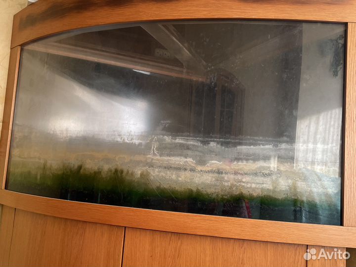 Аквариум панорамный на 600 л в раме с деревян тумб