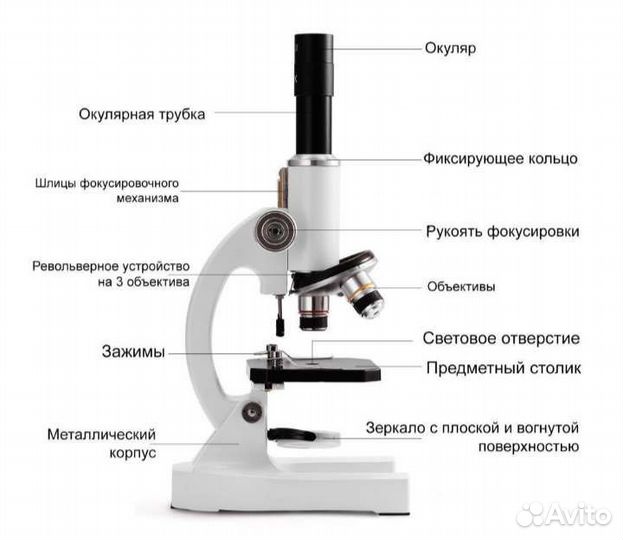 Микроскоп биологический Erudit C13