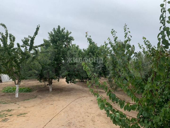 Дом 57 м² на участке 12 сот.