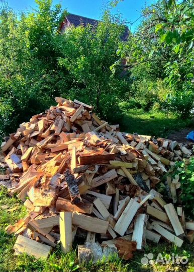 Дрова Береза любой объем от производителя в Приозе