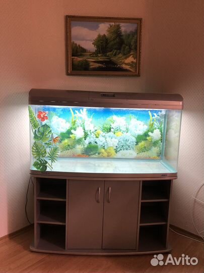 Флорариум, террариум