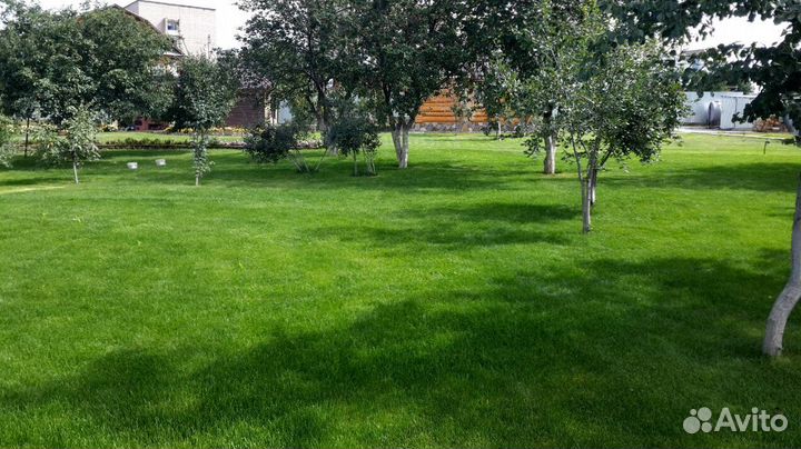 Укладка и продажа газона