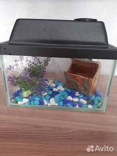 Аквариум 5 л, в комплекте фильтр, грот и камушки
