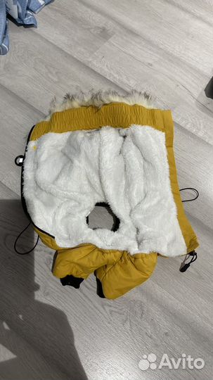 Одежда и амуниция для собак новая