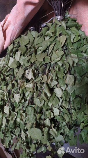 Продам березовые веники