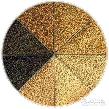 Солод Castle Malting Pilsen, 1 кг (Бельгия)