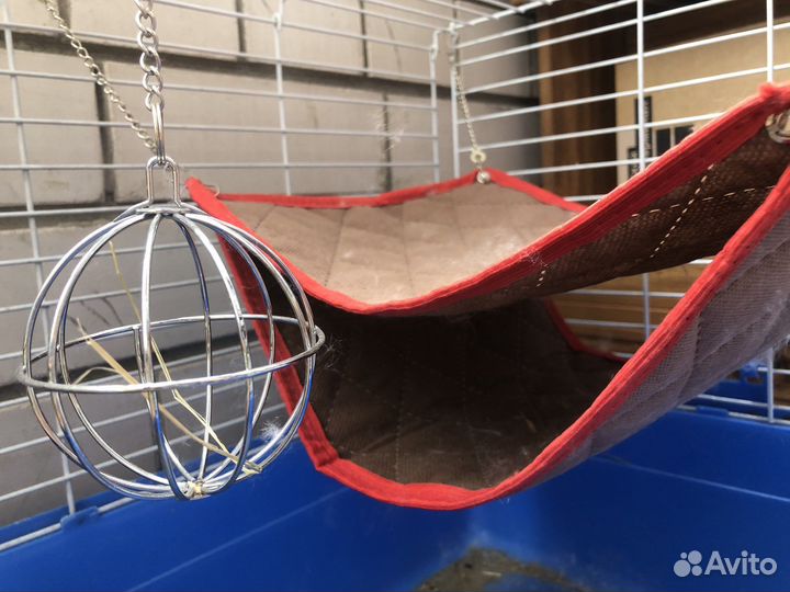 Шар,ванна,гамак,корм для грызунов