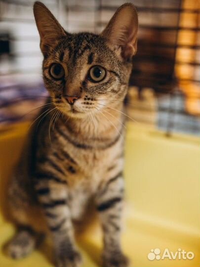 Люсенька 4 мес