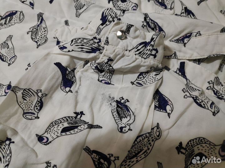 Блузка рубашка Zolla с птичками