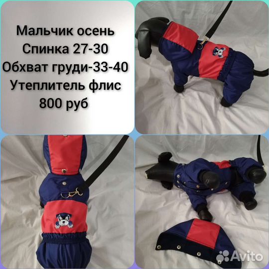 Одежда, дождевики, комбинезоны, для собак