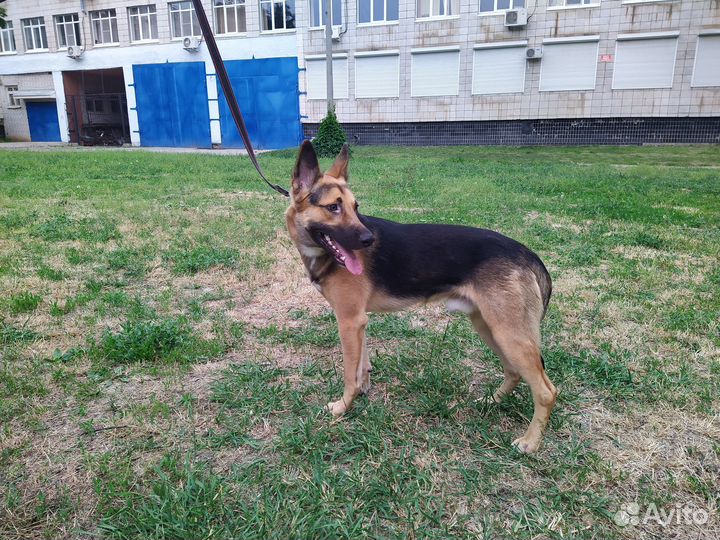 Подросток в хорошие руки