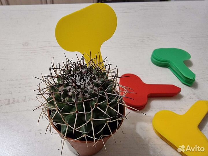 Таблички для растений