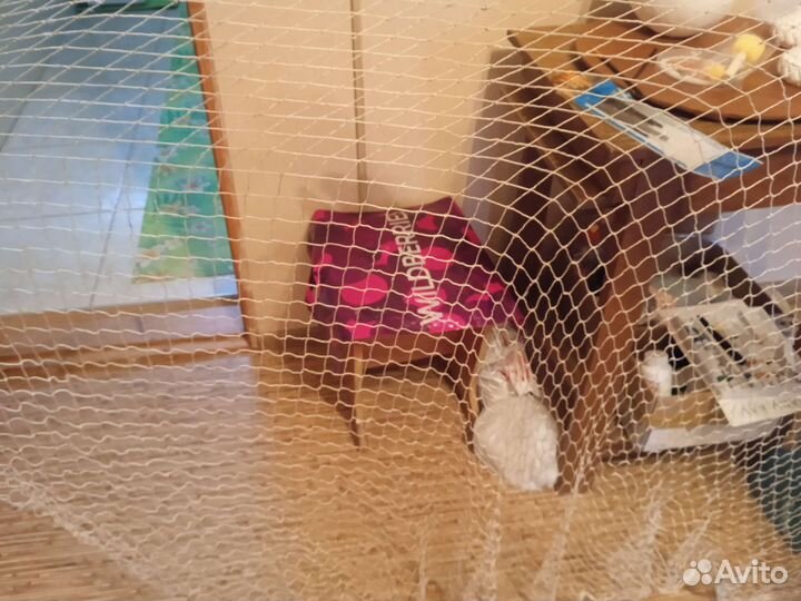 Приспособление для ловли рыбы