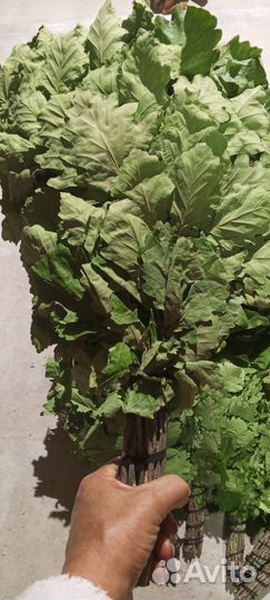 Веники для бани