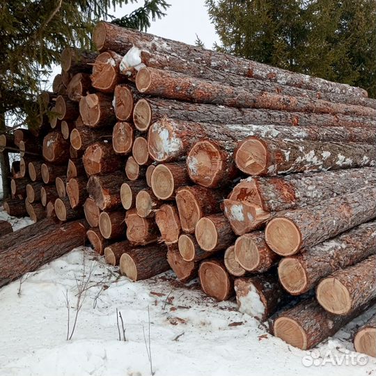 Лиственница