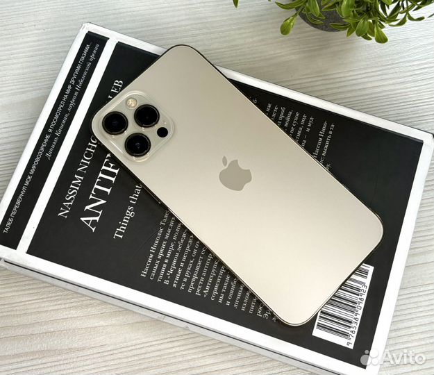 iPhone 12 Pro Max, 256 ГБ