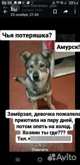 Собака в добрые руки Щенок мальчик4,5-5 мес