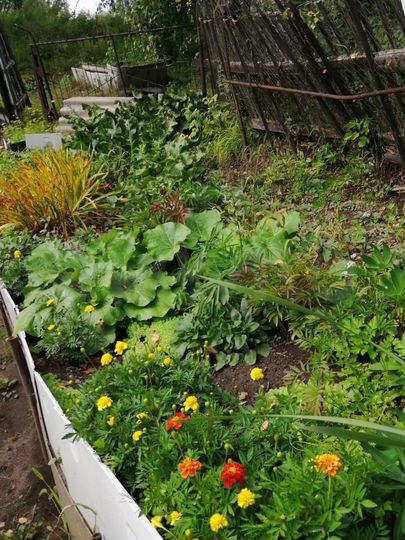 Участок 6 сот. (СНТ, ДНП)