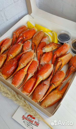 Краб Стригун