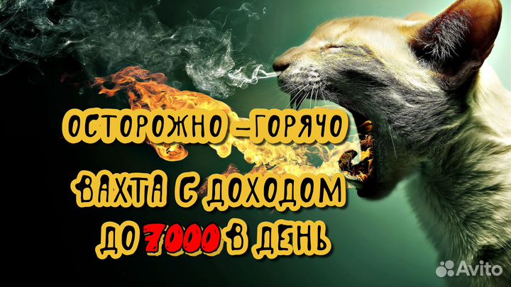 Сортировщик посылок вахта с питанием 15 смен
