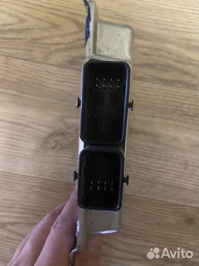 Эбу (мозги) на калину