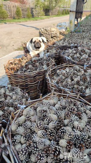 Корзина для елки, с шишками