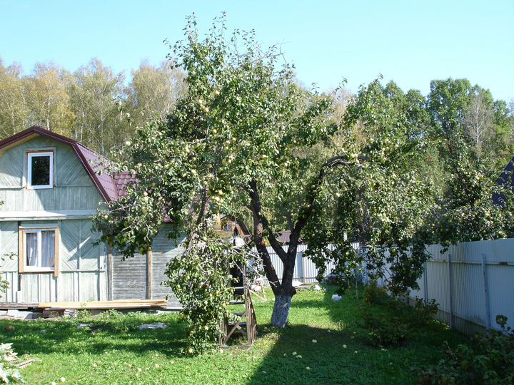 Дача 52 м² на участке 6 сот.