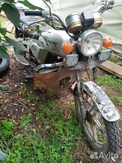 Рейсер альфа