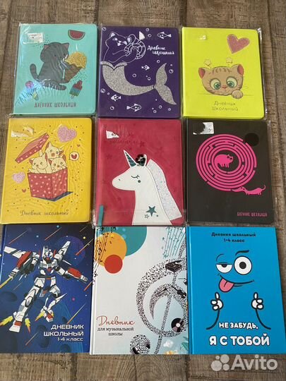 Школьны и музыкальный дневники