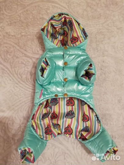 Одежда для собаки мелкой породы