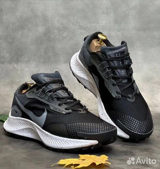 Nike air zoom pegasus (43)