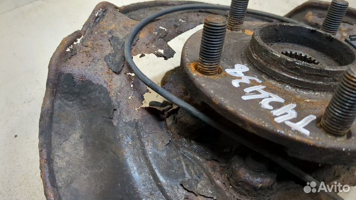 Ступица (кулак, цапфа) Toyota RAV 4, 2008