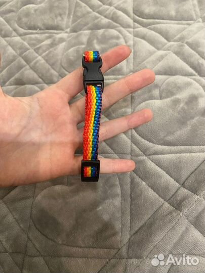 Ошейник,рулетка для собак