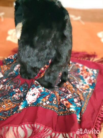 Капор из меха норки