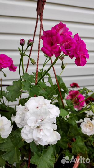 Искусственные цветы в горшках бу