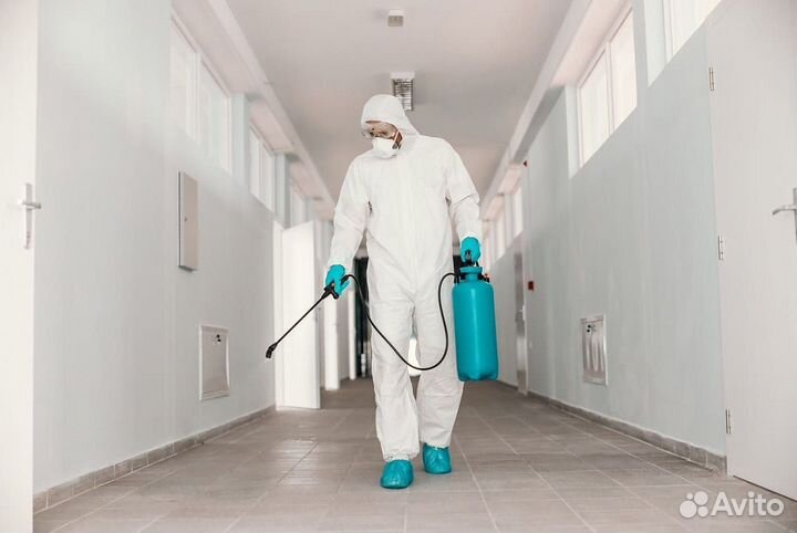 Уничтожение тараканов, клопов, дезинфекция