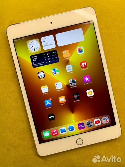 iPad mini 4 cellular