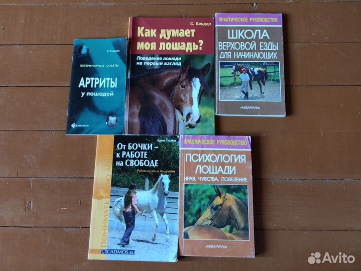 Книги про лошадей набором