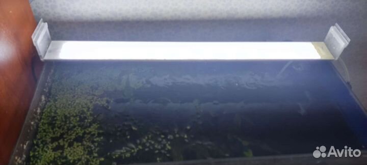 Аквариумы с тумбой 60л б/у