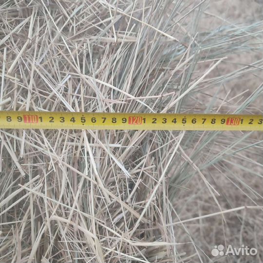 Сено в рулонах