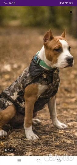 Попона для собак