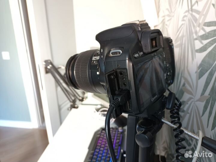 Canon EOS 550D kit + допы