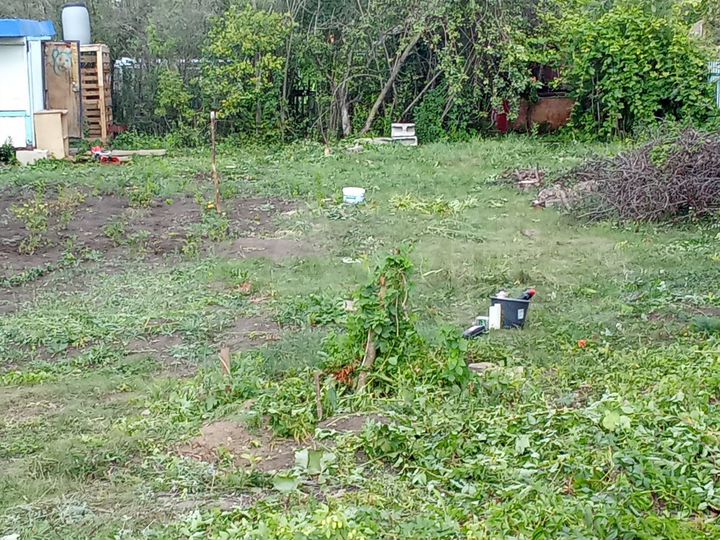 Участок 6,6 сот. (СНТ, ДНП)